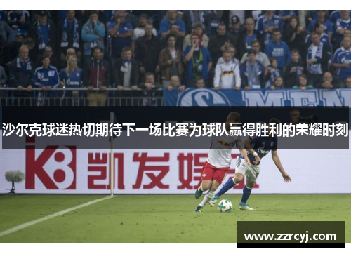 沙尔克球迷热切期待下一场比赛为球队赢得胜利的荣耀时刻