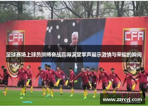 足球赛场上球员拼搏奋战赢得满堂掌声展示激情与荣耀的瞬间