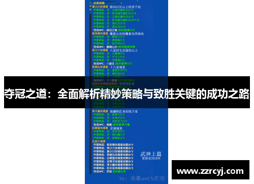 夺冠之道：全面解析精妙策略与致胜关键的成功之路
