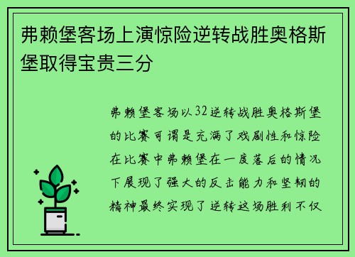弗赖堡客场上演惊险逆转战胜奥格斯堡取得宝贵三分
