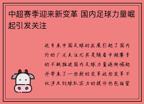 中超赛季迎来新变革 国内足球力量崛起引发关注