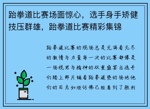 跆拳道比赛场面惊心，选手身手矫健技压群雄，跆拳道比赛精彩集锦